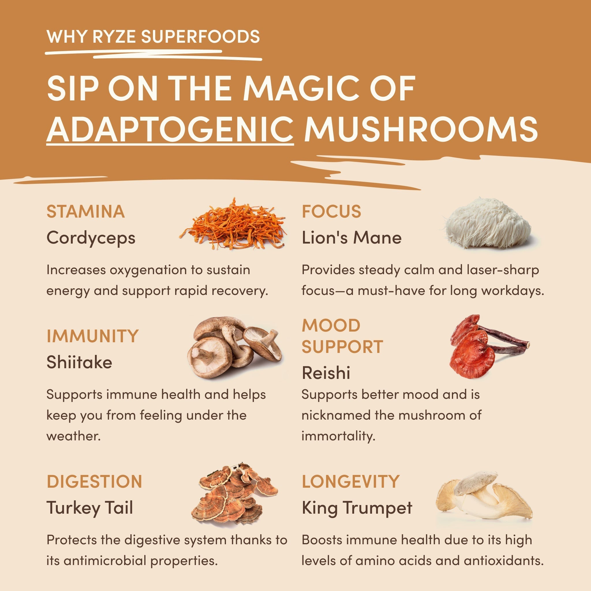 Mushroom Overnight Oats (14 Servings) - Mindful Energy