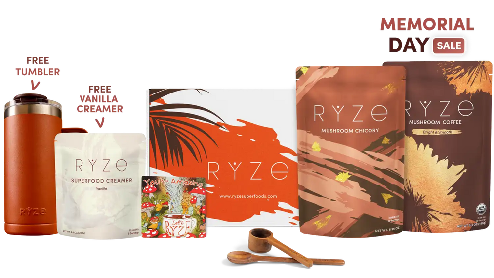 Lasting Energy Bundle (Chicory + Coffee) - Simple Wellness